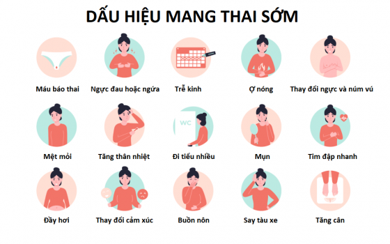 dau_hieu_mang_thai_03b60d0558.png