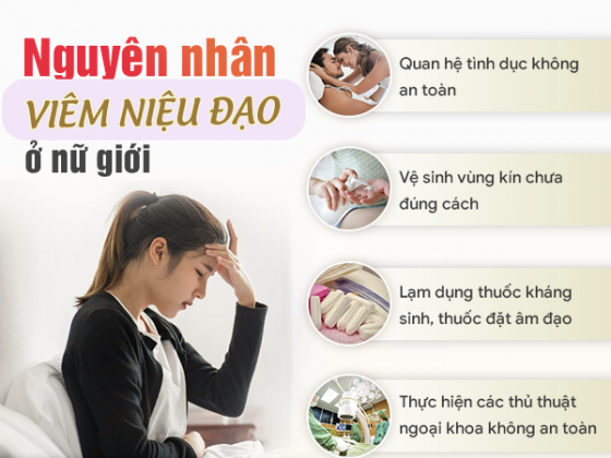viem-vung-kin-nu (10).png